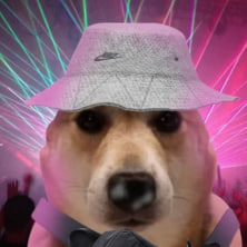 vibin dog tweet media