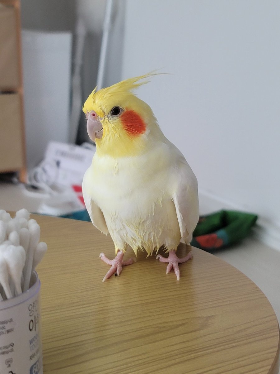 기르💛연지 tweet media