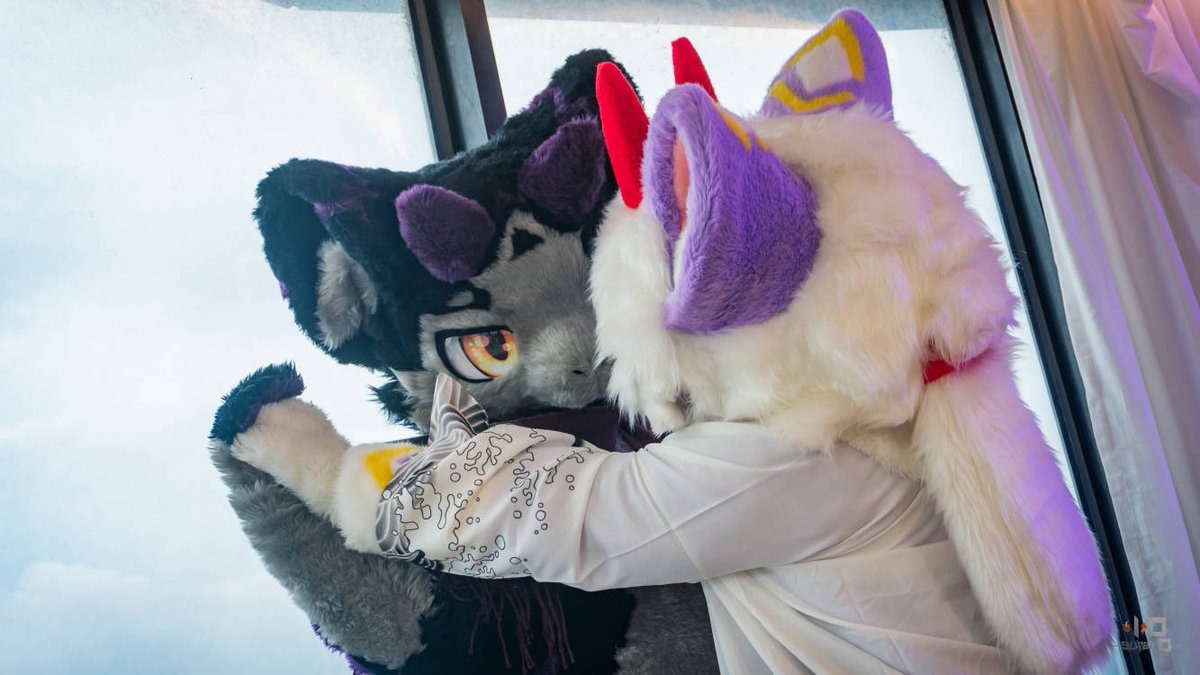 Anoo_1113's tweet photo. #FursuitFriday 
被小母龙欺负了呜呜呜！

🟣：@FurrySierr 
📷：@yeKevin15 https://t.co/DkglU72I8G