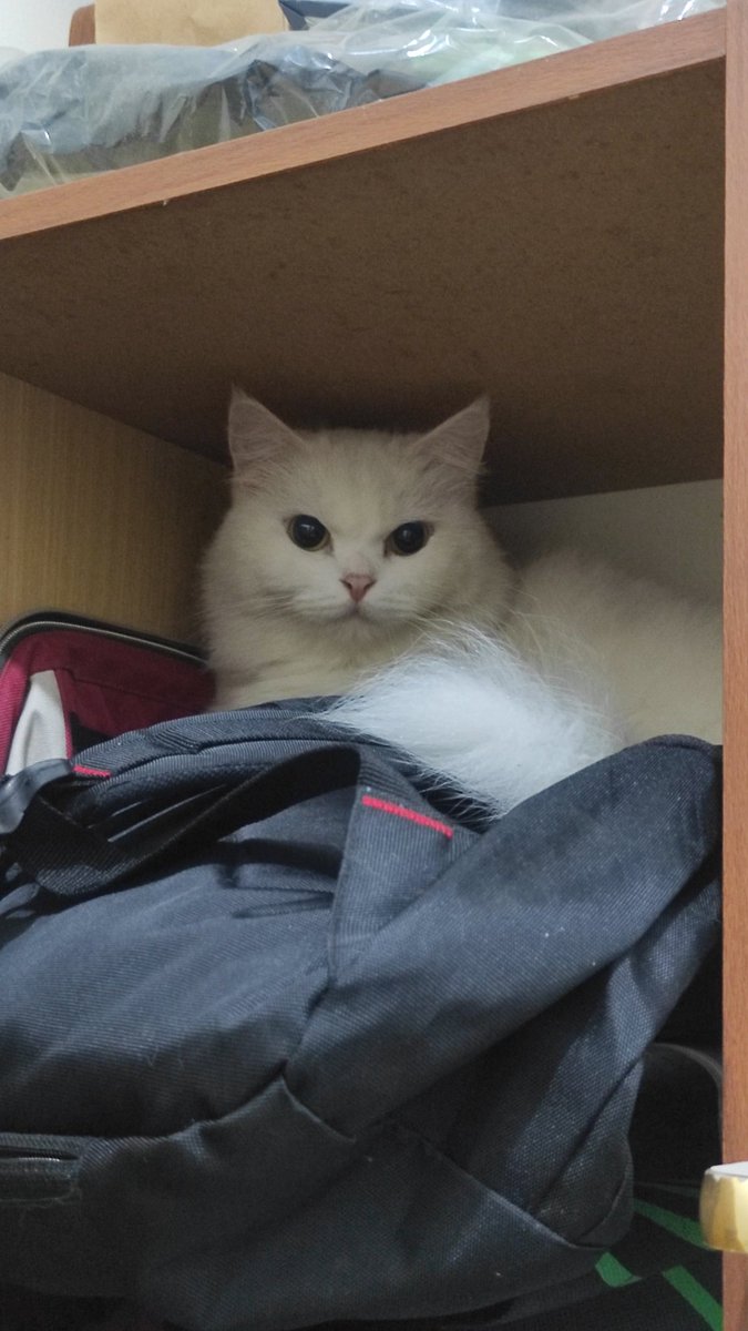 Ikut ngumpet bentar yak