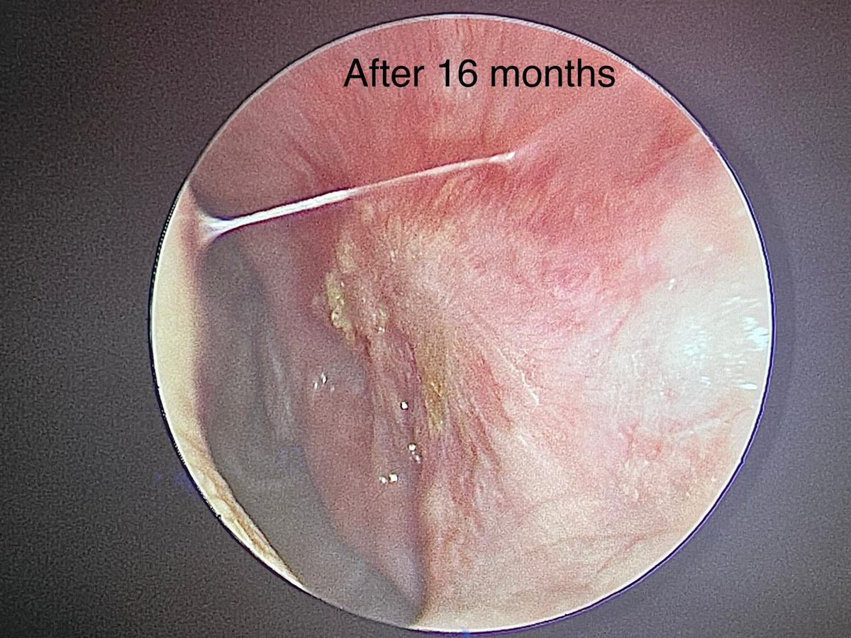 د.عبدالعزيز القحطاني tweet media