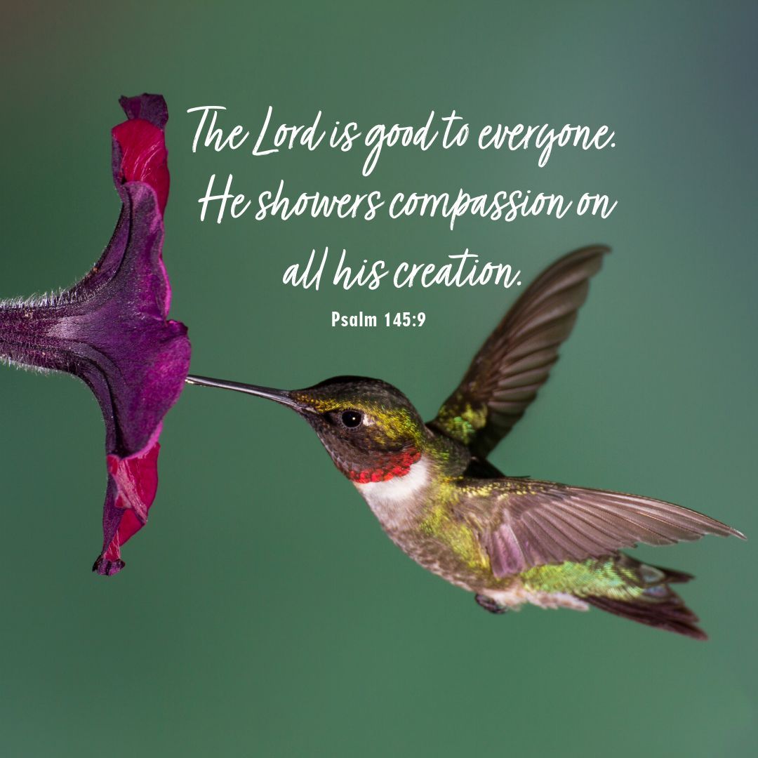 Happy Sabbath, Publishing Ministries family!