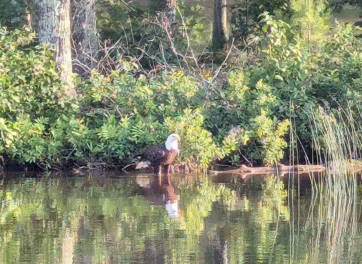 It's not too often you get up close and personal with these beauties!