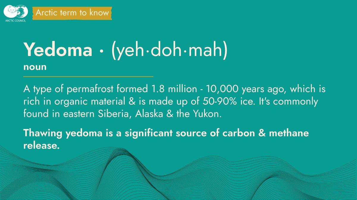 What is yedoma, &amp; why does it matter?

Today's Arctic term to know is a type of permafrost. As Arctic warming &amp; extreme events like #wildfire cause permafrost to thaw, yedoma releases large amounts of greenhouse gases- further warming the planet &amp; exacerbating climate change.