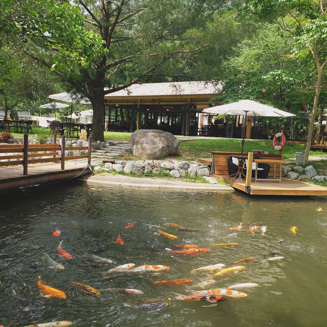 taichungtravels's tweet photo. Secret gardens hidden grom the sun! and forest cafes in Taichung.
日焼けも怖くない秘境スポット!台中の森系カフェ
#syurga #thiênđường #파라다이스 #สวรรค์ #surga https://t.co/benPbNIz7X