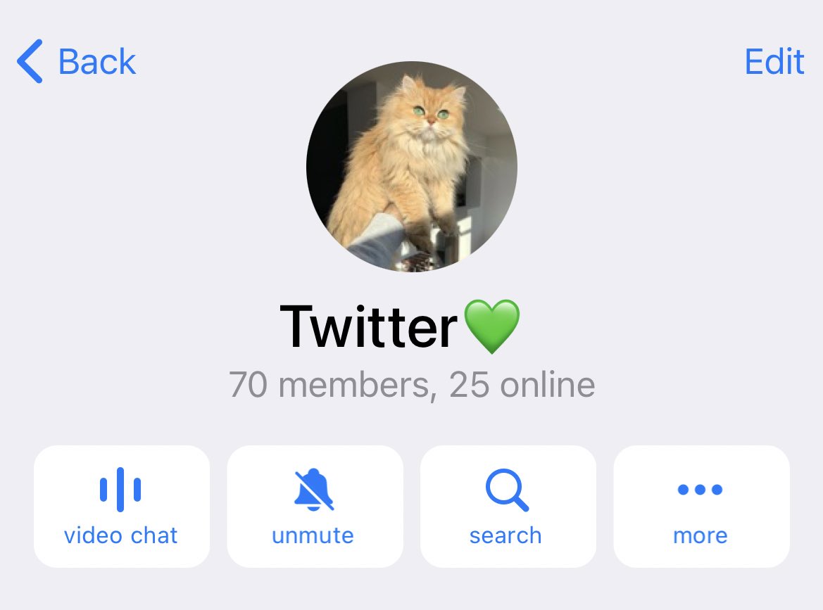 𝐍𝐆 tweet media