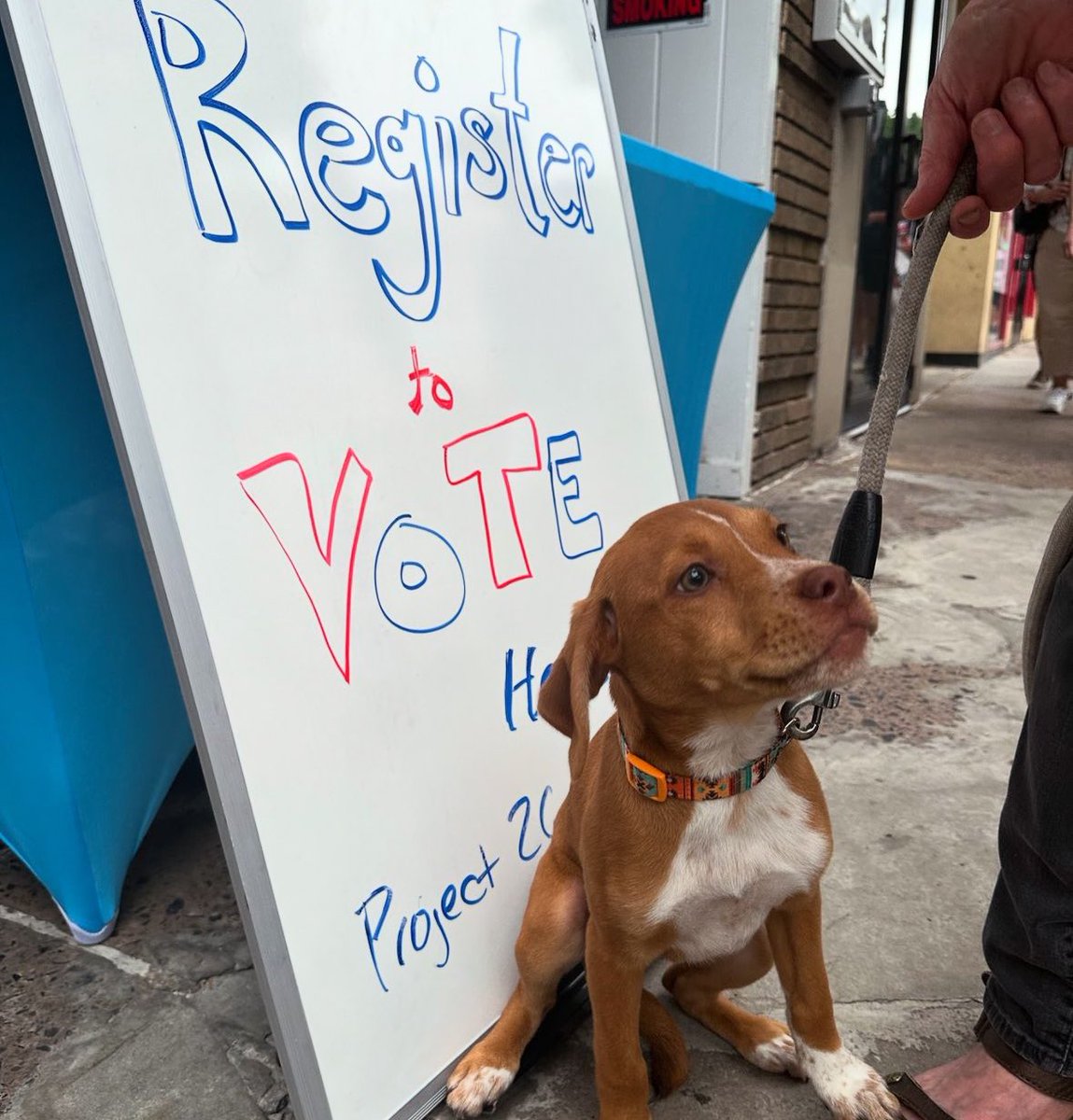 LauraShadlePA's tweet image. Proud of our energized and growing Project 26 Pennsylvania team at Penn State out there registering voters during Central PA Arts Fest! 🗳️💙🤍

#project26 #youthvote #weare #pennstate #election2024