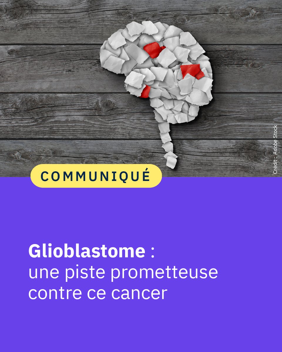 CNRS 🌍 tweet media