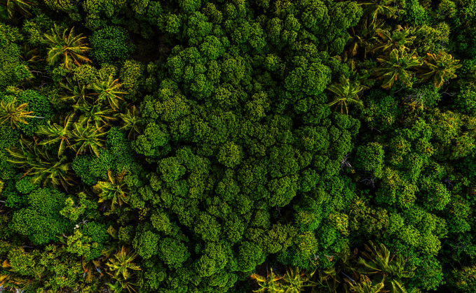 Trending Now Sustainable Construction tweet media