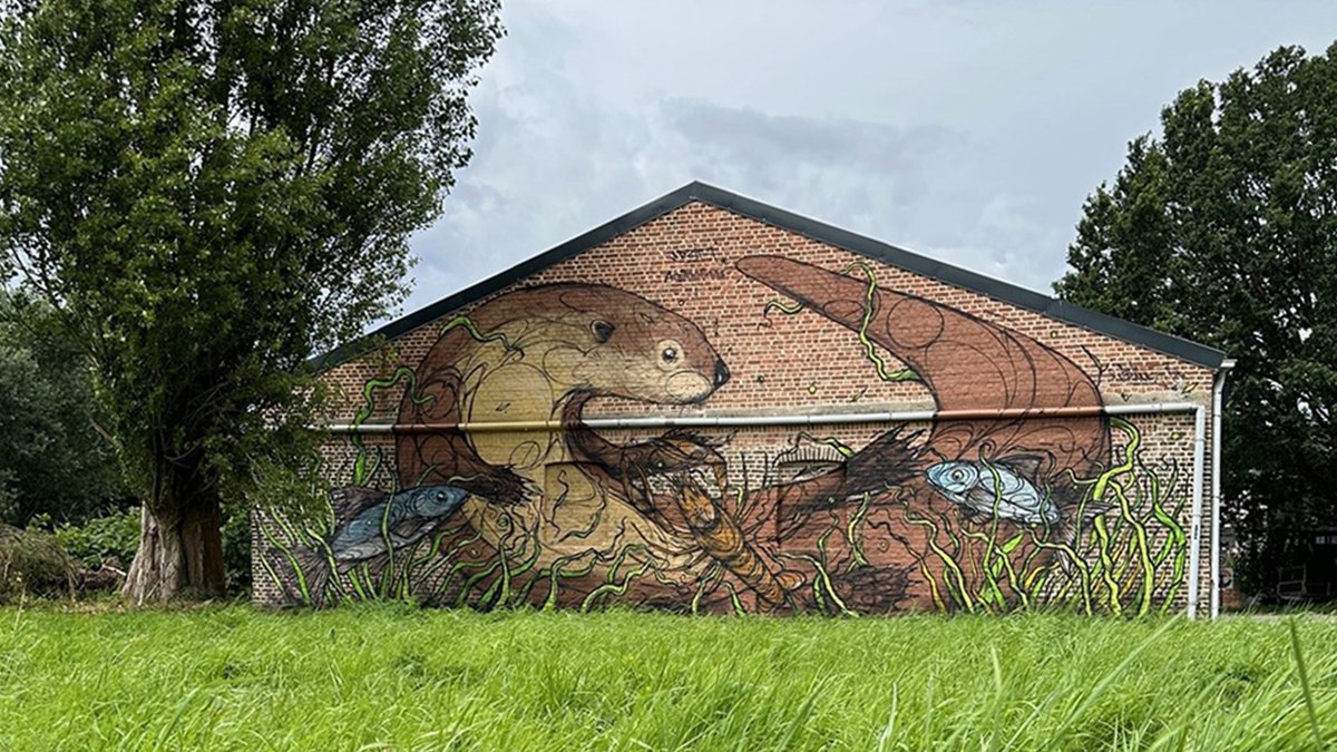 🦦👀GEZIEN: enorme otter prijkt vanaf nu op muur in gemeente <a href="/Willebroek_be/">Willebroek</a>. 'De otter heeft zijn plek in onze waterrijke natuur en we willen de mensen benieuwd maken', vertelt Céline De Caluwé van <a href="/WWF_Belgie/">WWF-België</a>. Meer weten? 👇
wwf.be/nl/persbericht… <a href="/RLRLbe/">RL Rivierenland</a> <a href="/DZIAAIZD/">DZIA&SONS</a> #Animalinas