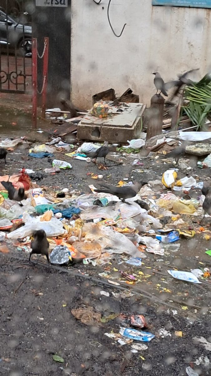 SabyThakur's tweet photo. @mybmc @mieknathshinde @Dev_Fadnavis 
Road turned into hell and dustbin in posh Bandra West Neighbourhood in front of Ashiana Glaxo CHS, St John Baptist Road , as few locals in wadi are refusing to use dustbins and proper waste disposal  @timesofindia @MumbaiPolice @TOIMumbai https://t.co/hMCfjXiNtd