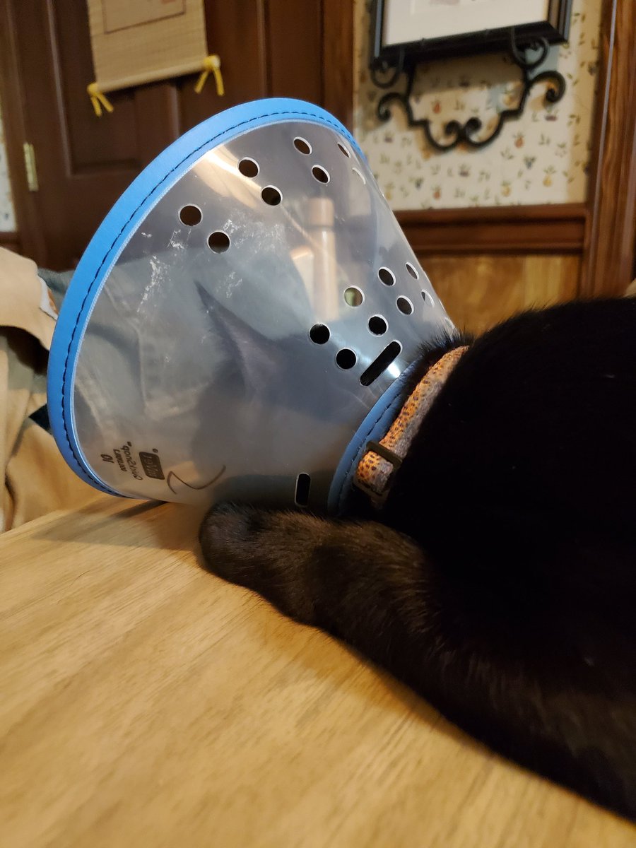 jingerly's tweet photo. Sad emo cone boy is sad. https://t.co/ZuHaJZuQMP