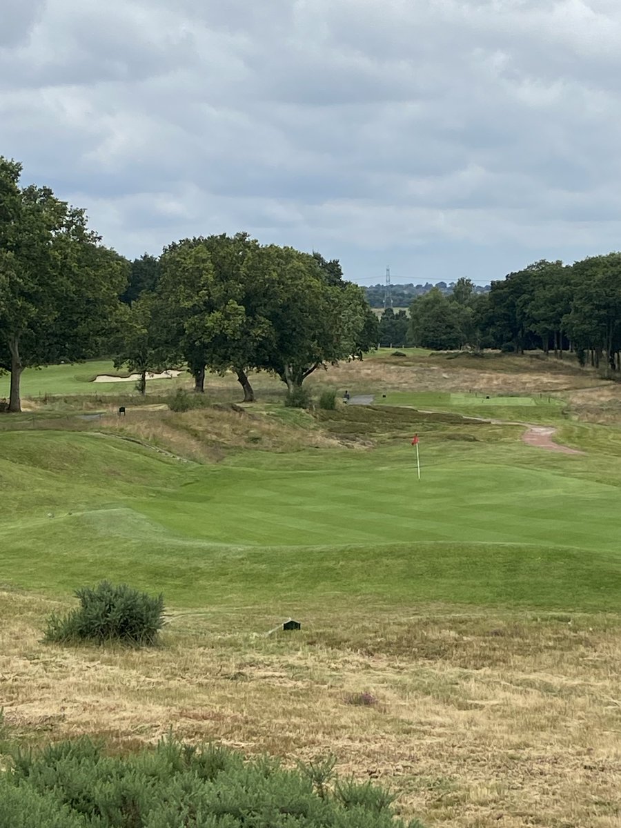 Today’s office view