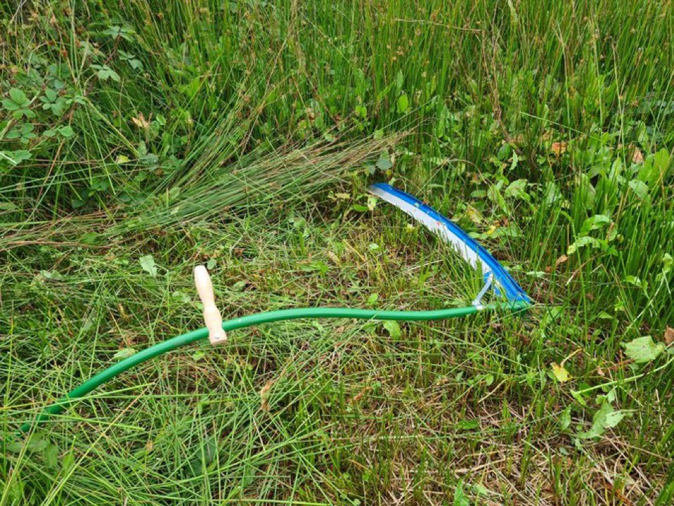 beevalleyfarm tweet media