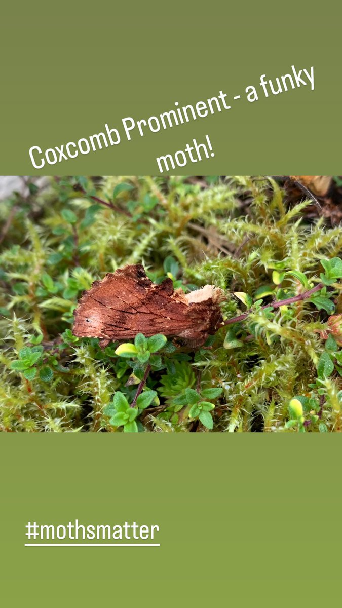 Tracy Munro tweet media