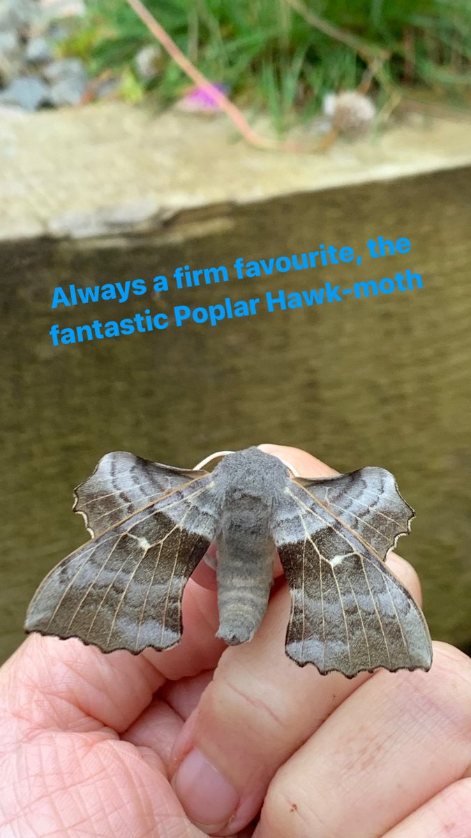 Tracy Munro tweet media