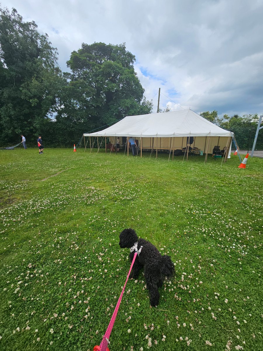 🎼STONE ROCKS🎼
Minnie headed out this morning to see what was going on behind the scenes in preparation for Stone Rocks!!  If you’ve not yet bought a wristband …. it’s not too late – you can pay on the gate …. £4 adults, £2 children.  We hope to see you tomorrow 12 – 4pm!!