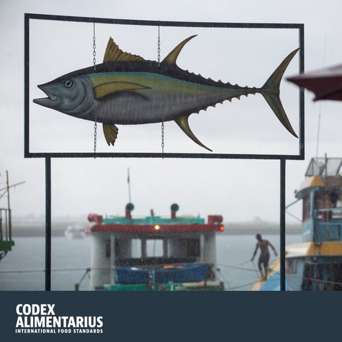 FAOWHOCodex's tweet photo. 🤔 | #DYK | Tuna species account for 20% of the value of all marine capture fisheries and over eight percent of all globally traded seafood 🎣🚢

👉To protect consumer health, Codex adopted >30 texts for fish and fishery products.

➕ℹ️➡️ https://t.co/FUVzyKHGlo

#COFI36 https://t.co/4ROQDckrlO
