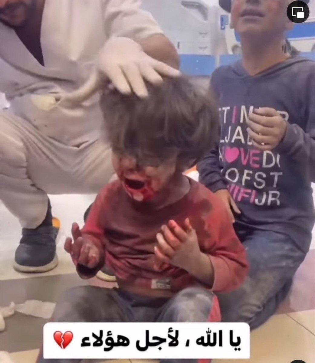 اگر آپ فلسطین نہیں جاسکتے تو آپ میڈیا پر جنگ لڑیں اور آواز اٹھائیں