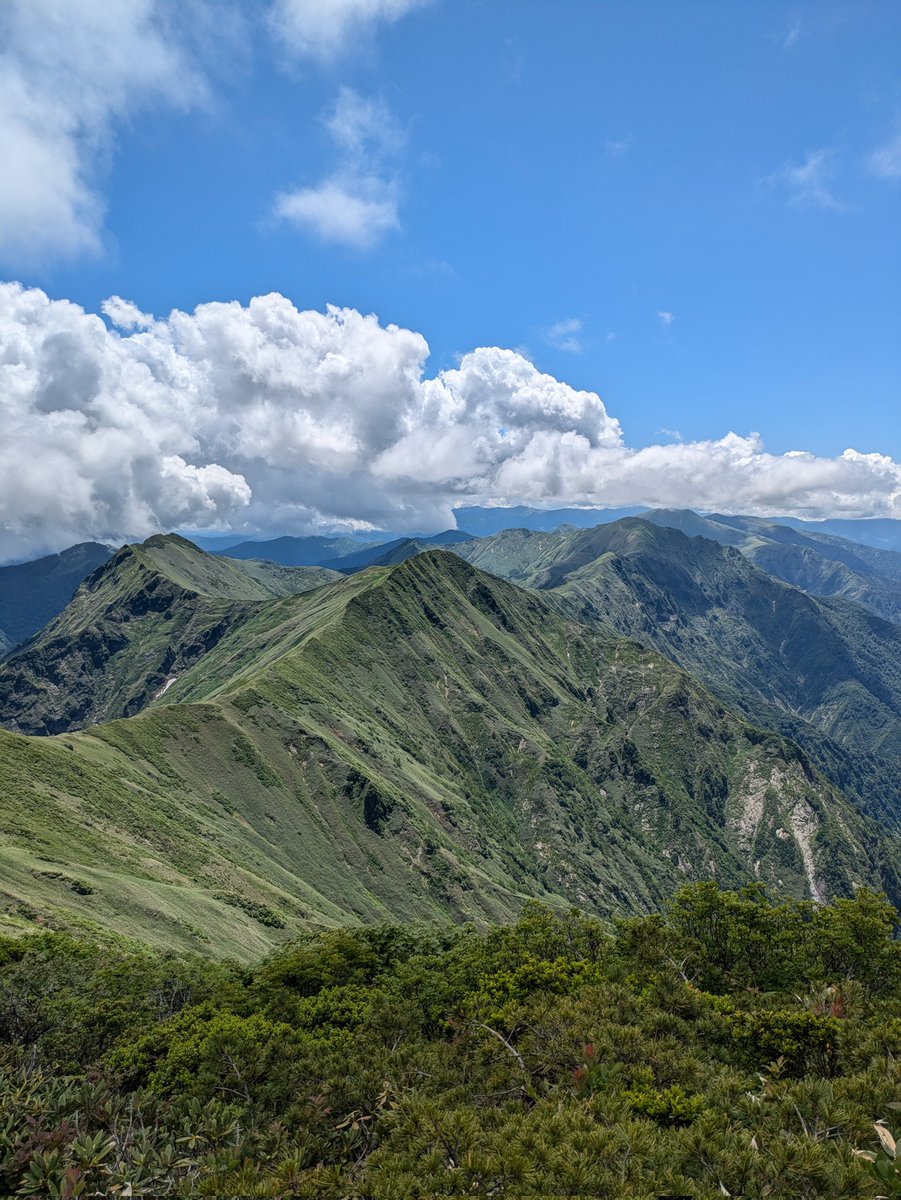 アイザック☆様へ(画像確認) HAC（ハック） スマートサーチタグ 「ゆうパケ送料無料」/ Apple社正規