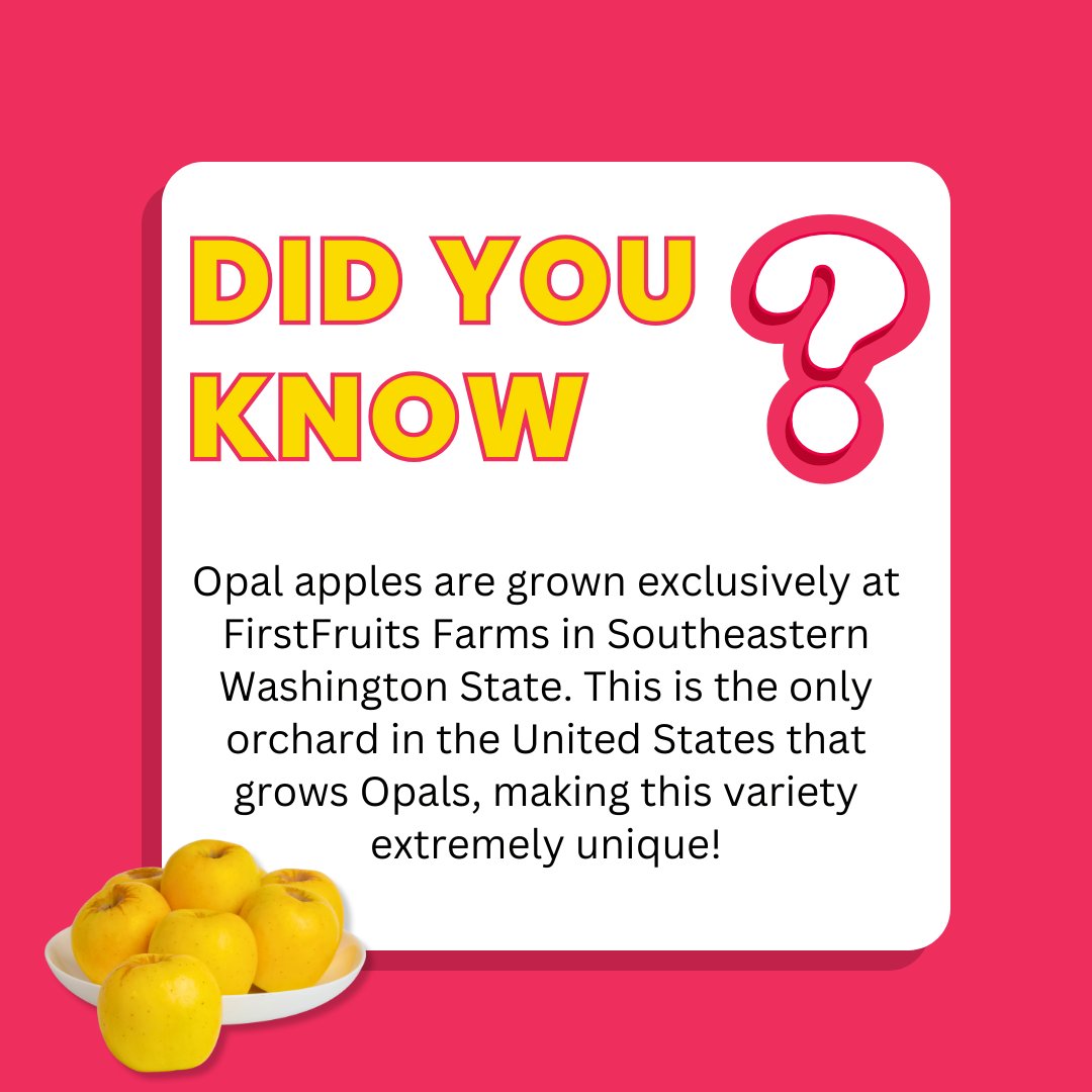 Opal Apple tweet media