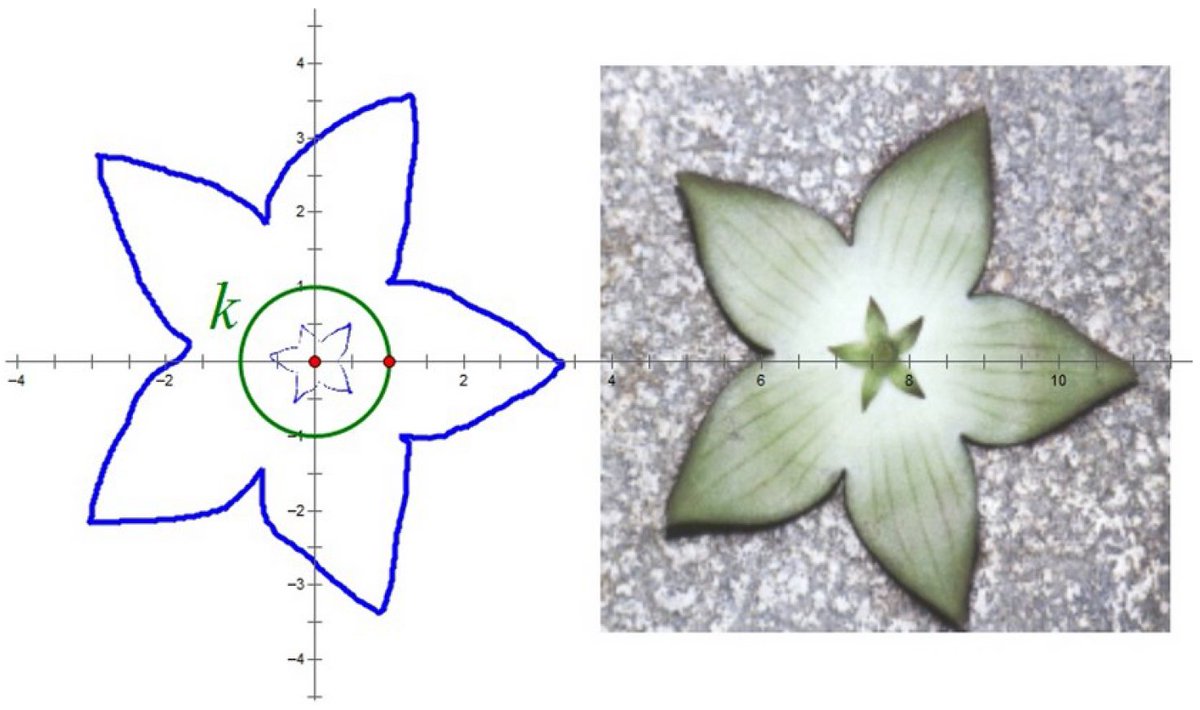 Symmetry_MDPI's tweet image. #mdpisymmetry Check this newly published article &quot;A New Approach to Circular Inversion in l1-Normed Spaces&quot; at mdpi.com/2073-8994/16/7…
Authors: Temel Ermiş, Ali Osman Şen and Johan Gielis
#Banachspaces #Minkowskigeometry 
@EsoguWeb 
@UAntwerpen 
@ComSciMath_Mdpi