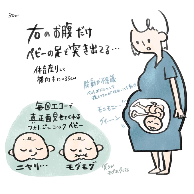 妊娠中にたまに描いてた絵日記。

吐きづわりが辛すぎて、つわりの悪口を書いた3000字のnote(これでも1万字を省略した)があるんだけど下書きに眠らせてる 