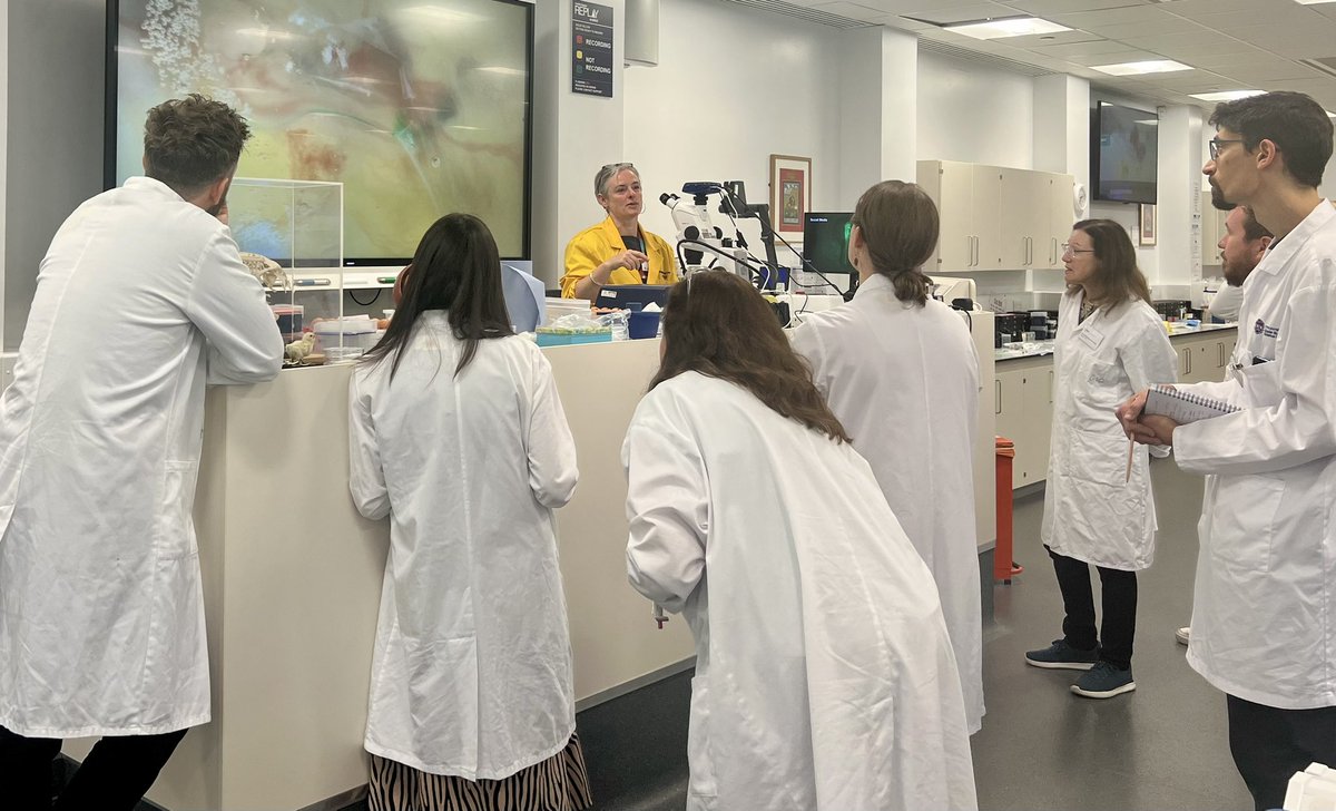 MelanieDWhite's tweet photo. Looking forward to another action-packed day of feathery fun at #EGGED2024! @EMBOevents @roslininstitute @TheDickVet @NARFroslin @Co_Biologists @RoyalSocEd @HCRimaging @GenSocUK @EMSDIASUM https://t.co/yh9UizOm5z