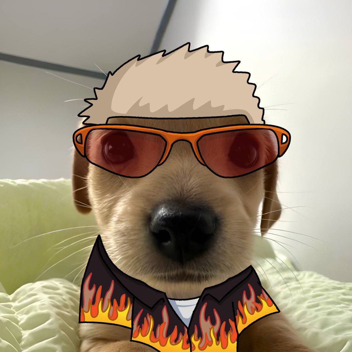 _BillyBSC's tweet photo. $Billy's on fire! New ATH achieved and now shining bright on @CoinMarketCap and @coingecko ! Keep the flames burning as it will help us to lift more and more. Something huge is cooking 👀🐶.
@binance  @BNBCHAIN #meme #bnb #BSC https://t.co/S9Uc1fbZoL