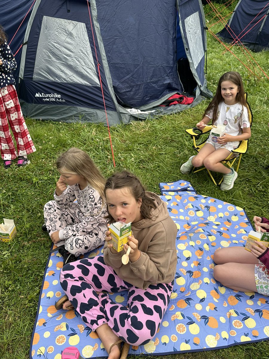 La Mare Primary tweet media