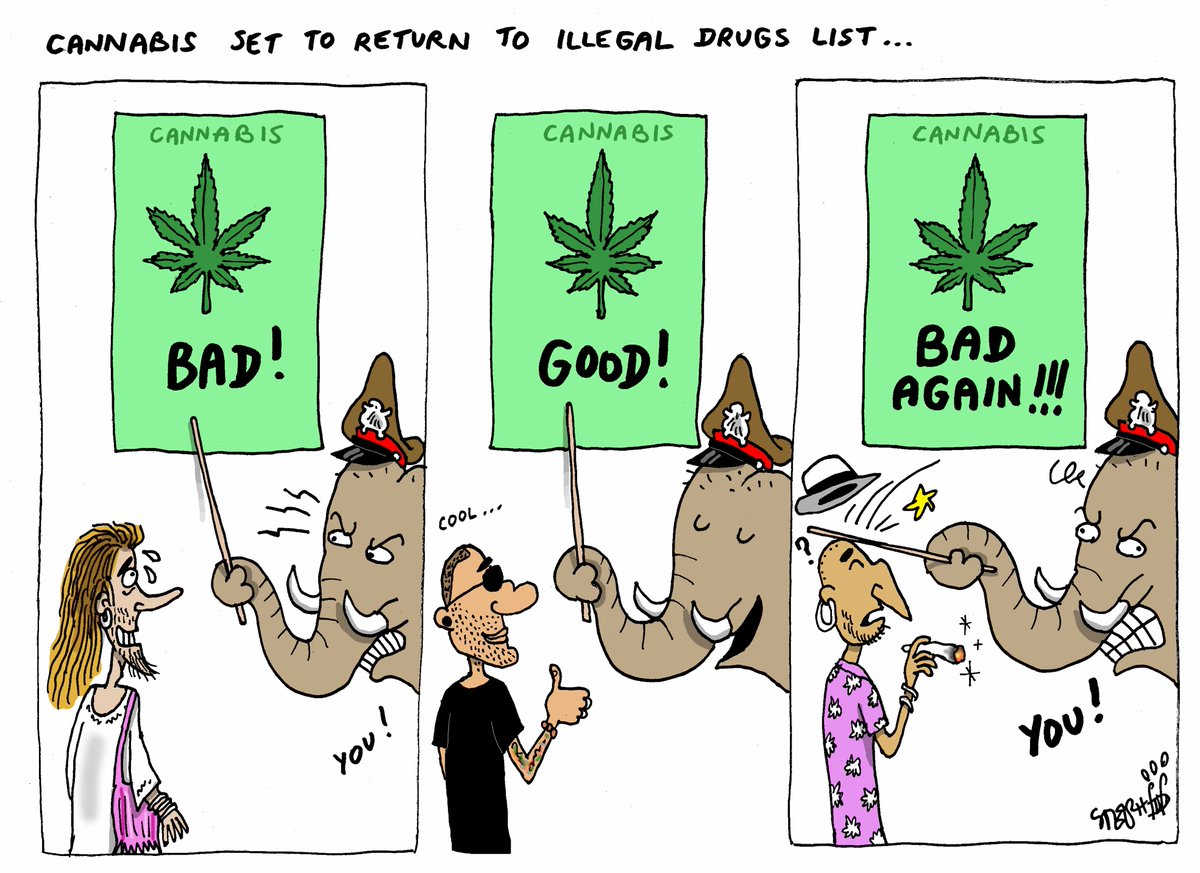 Cartoon by Stephff: Confusing Thai laws