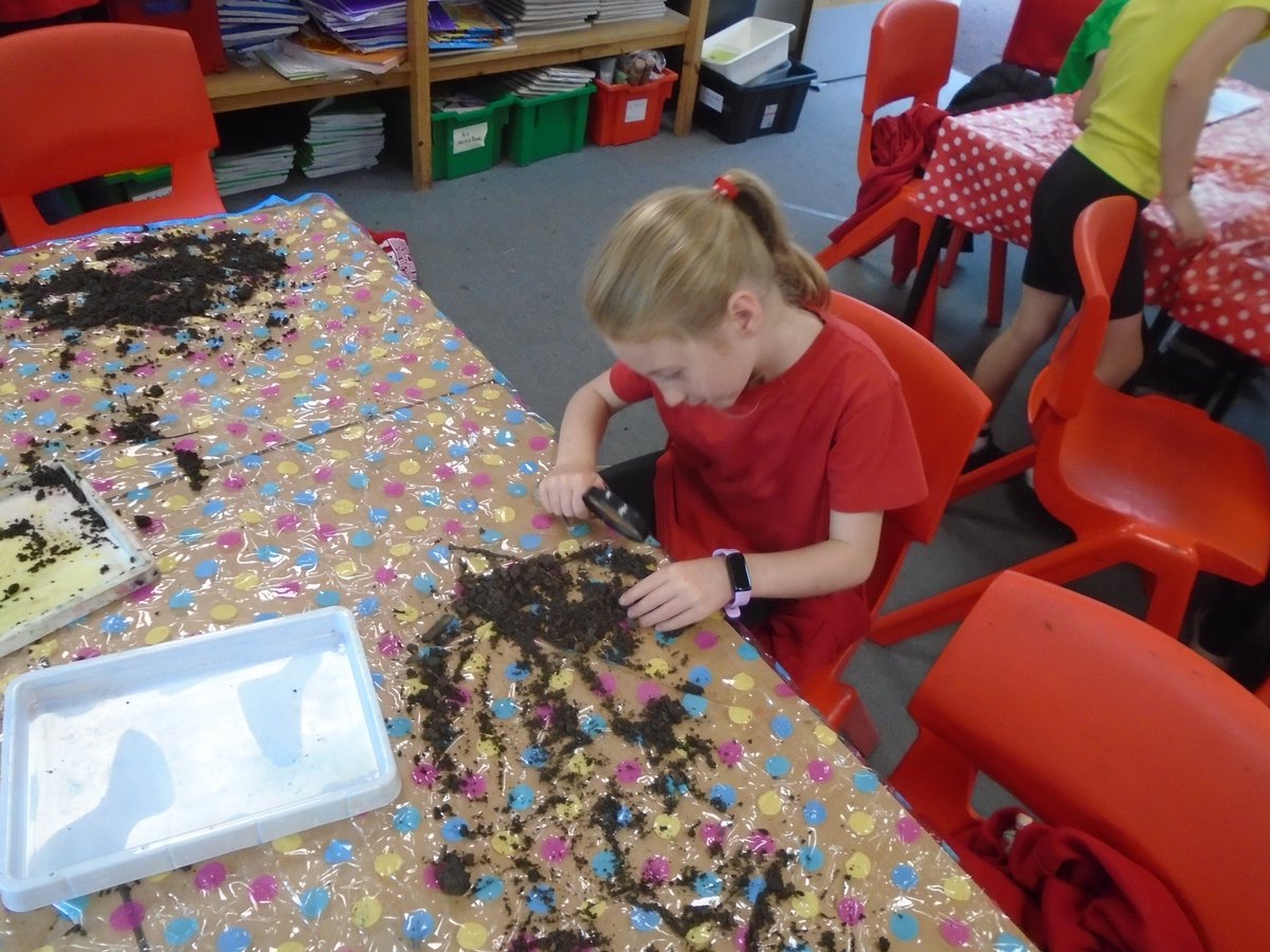 @HurstheadJuniors (@hurstheadjnrs) on Twitter photo 3S were super scientists yesterday!  They made careful observations of different types of soil before deciding which soil they would choose to grow plants in.๐ชด 3S were super scientists yesterday!  They made careful observations of different types of soil before deciding which soil they would choose to grow plants in.๐ชด