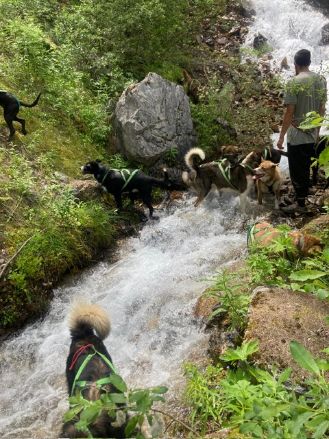 Jean XXIII tweet media