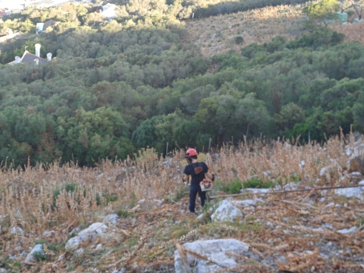 Gib Nature Reserve tweet media