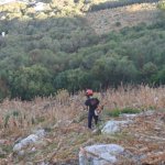 Photo by Gib Nature Reserve (@GibReserve)