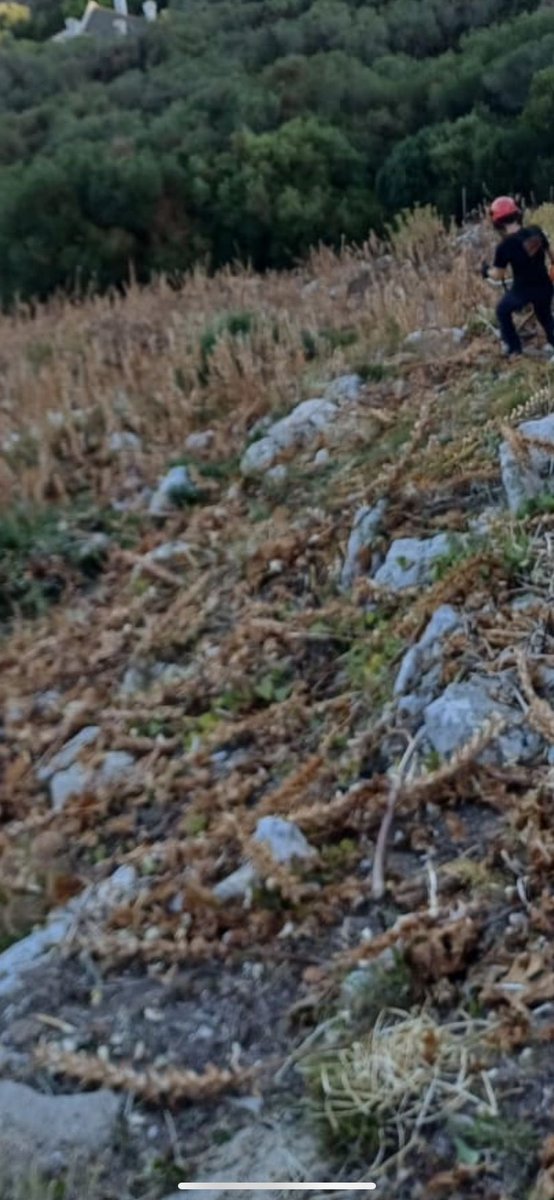 Gib Nature Reserve tweet media