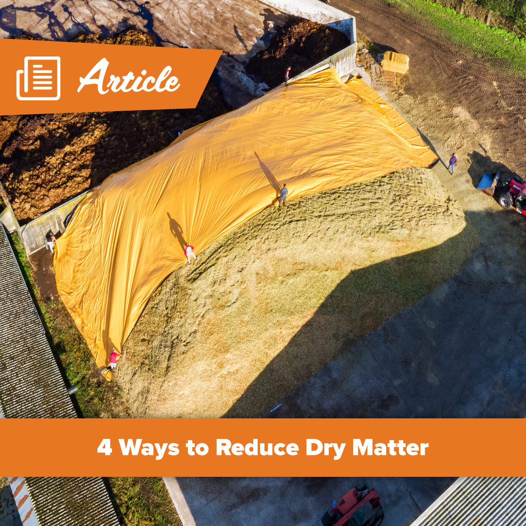 Reduce dry matter losses in your silage clamp with just four simple steps. 🐄🌾 Read more here: shorturl.at/scFyV
#DairyFarming #SustainableFarming  #FarmTips #SilageMaking #AgriTech