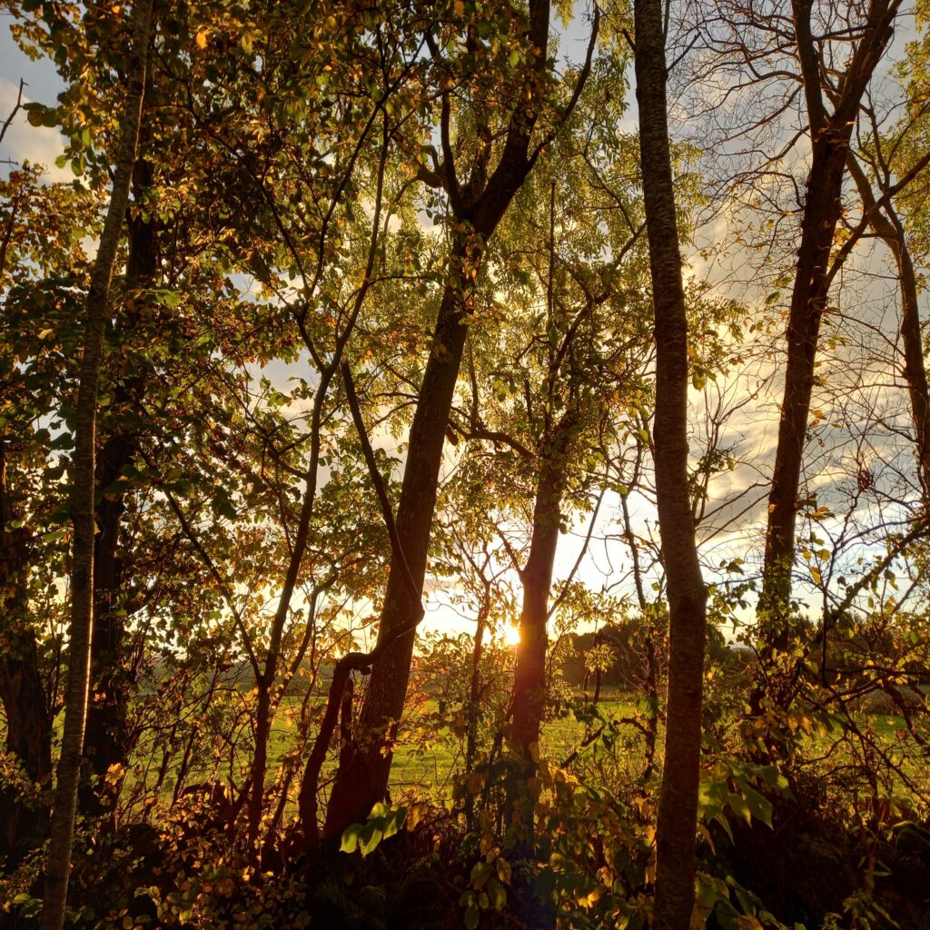KemnayC's tweet photo. Prayer for Today -  https://t.co/xXP3hetwkA 

Father we live in a blame culture: show us a different way to live beyond our own self protection. https://t.co/i1vAkaZAA7