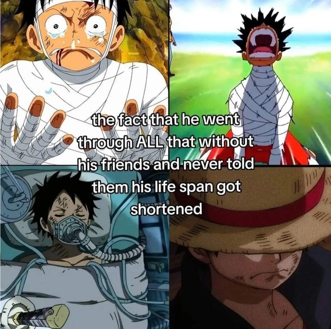 One Piece Daily tweet media