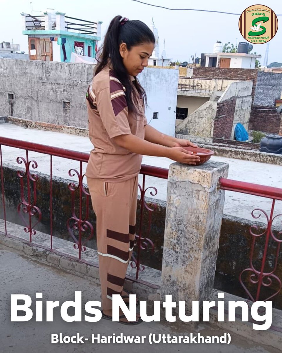 Offering a lifeline in the heat! Shah Satnam Ji Green ’S’ Welfare Force Wing volunteers are showing kindness to feathered friends this scorching summer. By setting up bird🪹baths and feeders, they're providing much-needed hydration and nourishment during this critical time. This