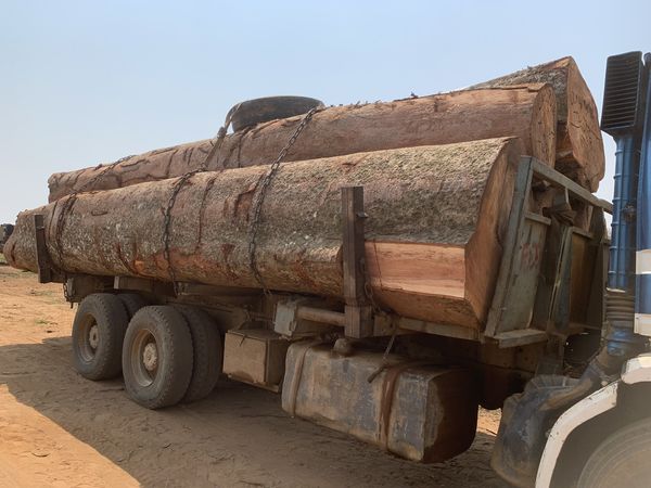 K-Timber Factory - Forestry & Timber Products tweet media
