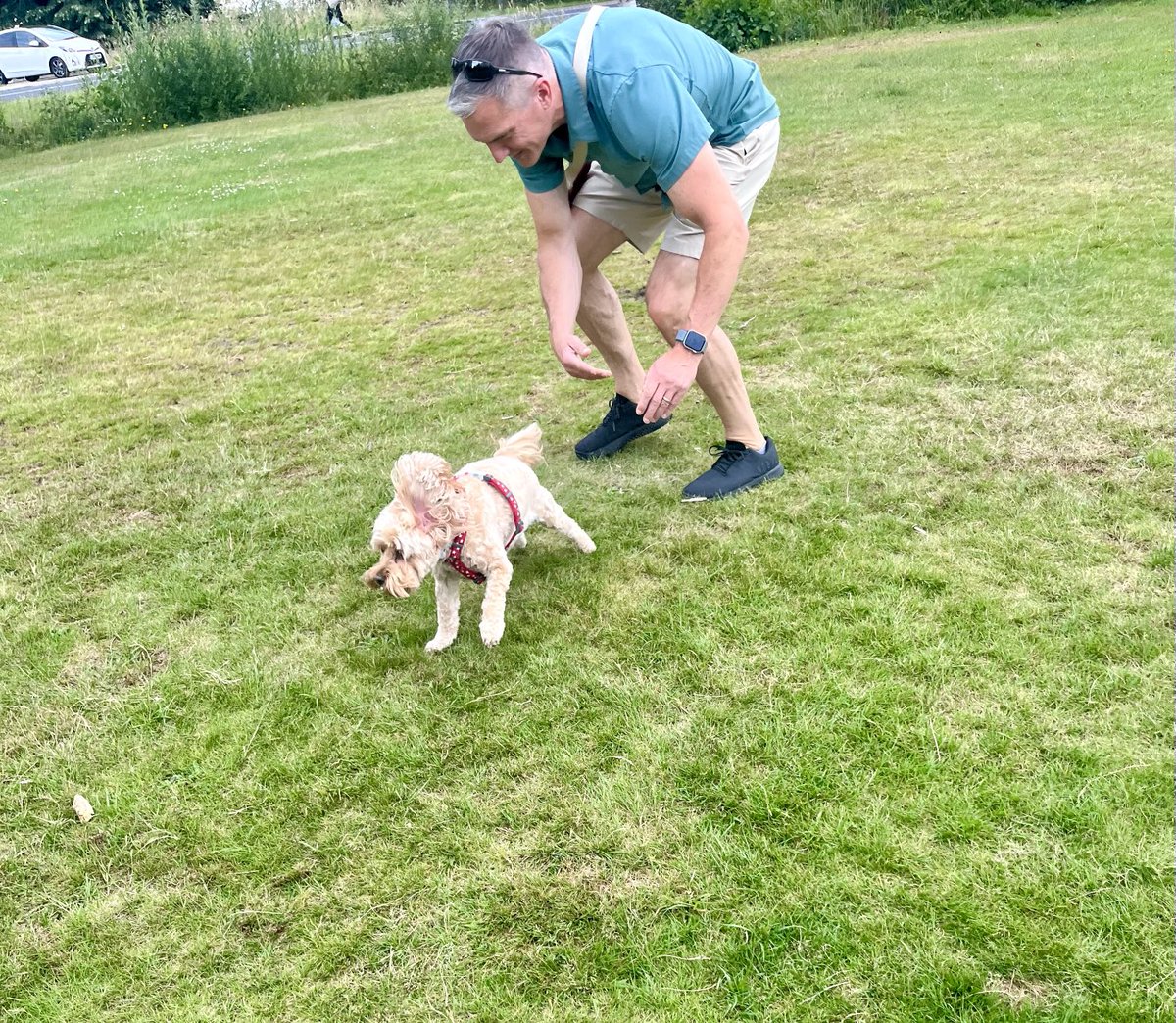 TheHoneyTails's tweet image. Apparently the day after you’ve been groomed is not the day to roll. The guy spent most of our walk “Shooing” me
#HowRude
#TheHoneyRoll