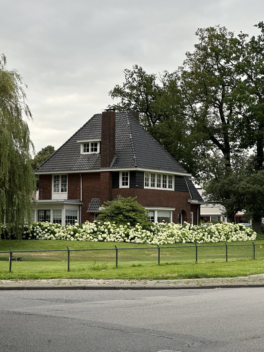 I have met 'real' membrane technologies at EMI at the University of Twente and visited their well-equipped laboratories. The white hydrangeas of Enschede made this beautiful experience even more unforgettable. A heartfelt thanks to <a href="/pkmelzo/">ozlem kap</a> for making this experience possible!