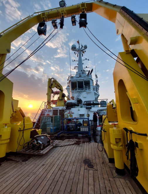 PascalHablutzel's tweet image. #plankton #metatranscriptomics @michielperneel @jmeesvliz @PascalHablutzel @MaereLab  (8/8)