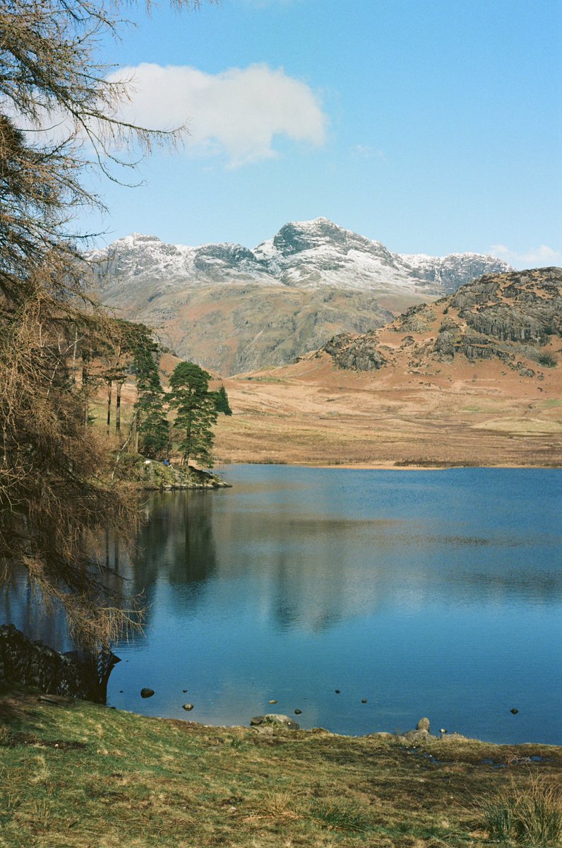 adamwrites_'s tweet photo. I recall a spring morning at Blea Tarn when the Pikes still donned their winter coats. The boundless sky unfolded, a canvas of crisp blue adorned with soft, pure white clouds gliding on a westerly. Above Side Pike, the call of the buzzard echoed, a stirring melancholic cry. https://t.co/QmF3c1SQYg