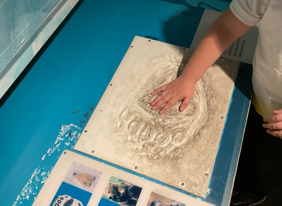 AlvastonJAcademy tweet media