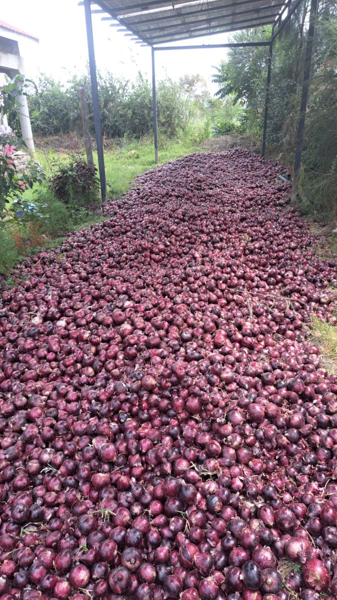 Kiluuks♡ tweet media