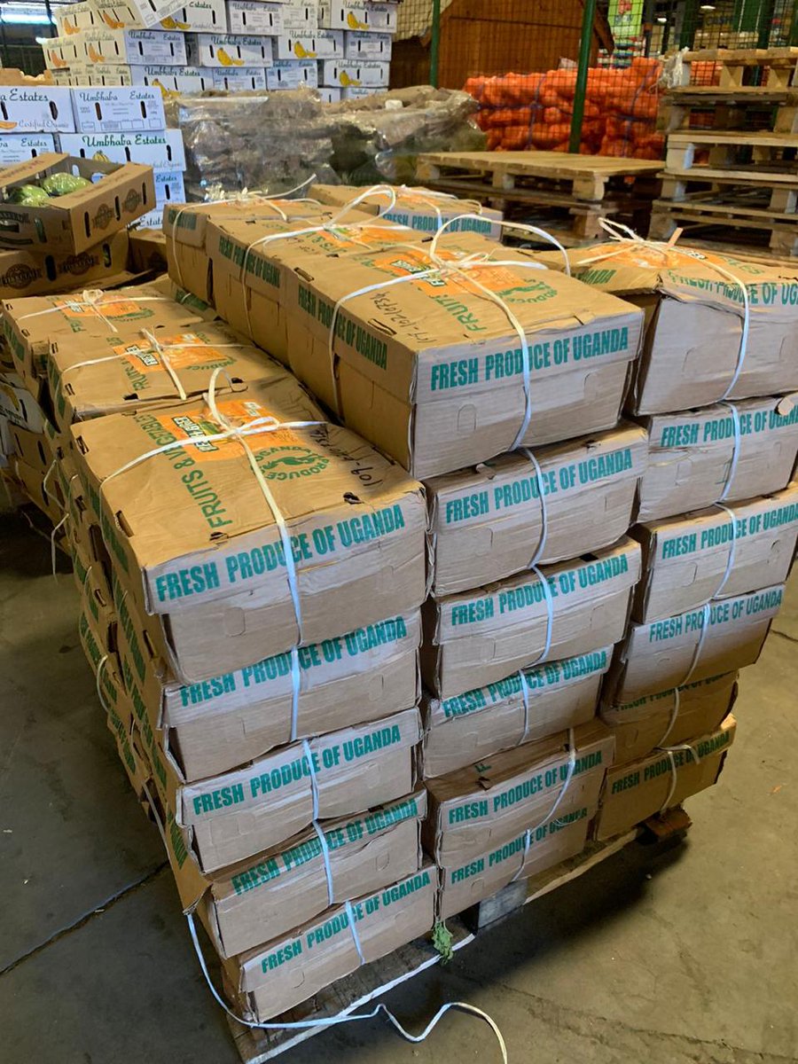 FederalFoodsAF's tweet photo. @wekesa_amos We are a Ugandan organic food supply in Uganda and South Africa  slowly growing and expanding across the continent .
We mainly specialise in fruits and vegetables like matooke greenbananas,pineapple,plantain,Yam and many more https://t.co/MUv9XNptHO