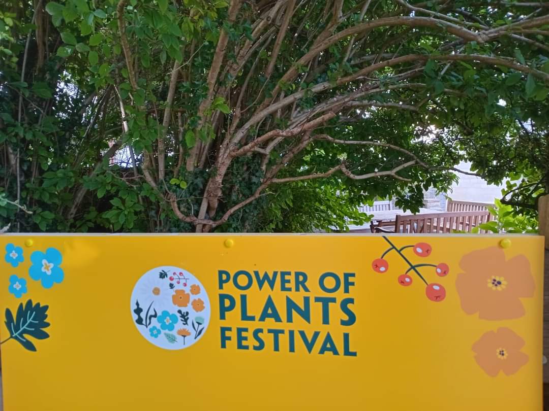 Nature's Laboratory tweet media