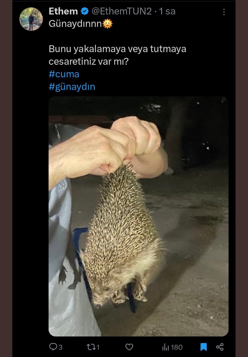 @EthemTUN2 etkileşim uğruna yaptığın şu işe bak. Takipçi derdin varsa hayvanlara dokunma biz hayır olsun diye sana beğeni atarız. Sanki jaguara dokunmuş beyefendi. Tehlikeli olan tutulan değil tutan aslında. O mesafeden fırtlamadın inşallah kirpiyi.